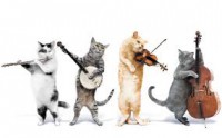 /album/ritmo-livre/images-7-copia-jpg/